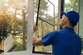 Professional Windows in Algonquin, IL